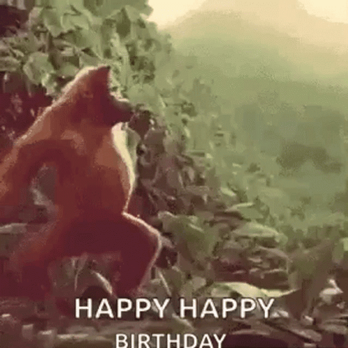 Happy Birthday Dance Funny Orangutan GIF
