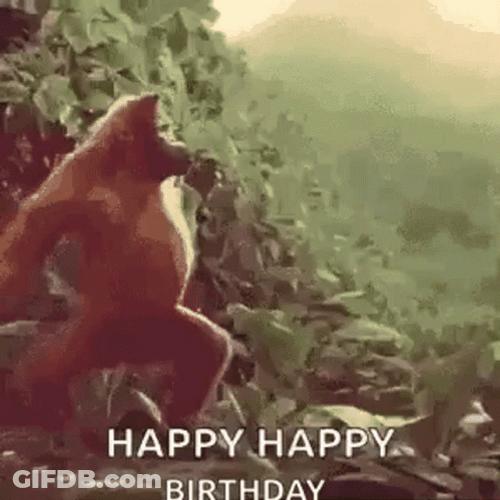 Happy Birthday Dancing Monkey GIF