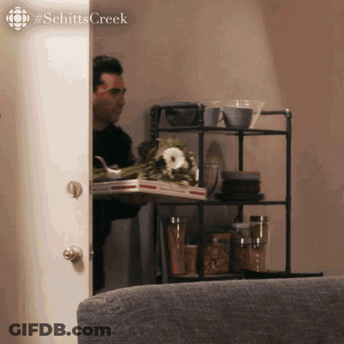 Happy Birthday David Rose Schitts Creek Surprise GIF