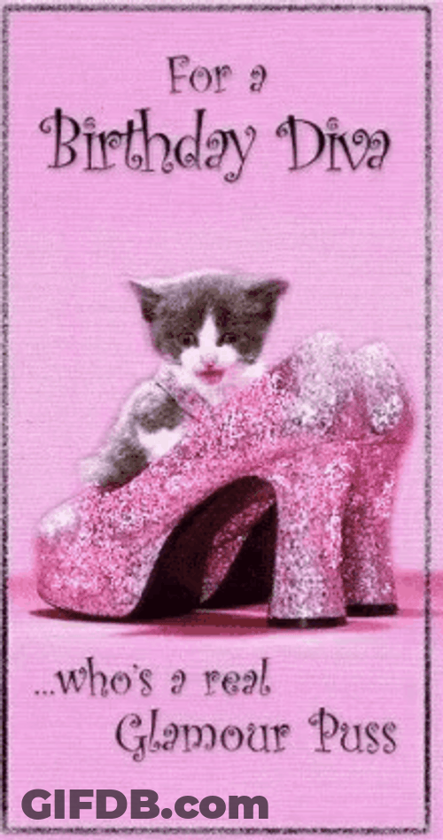 Happy Birthday Diva Real Glamour Puss GIF