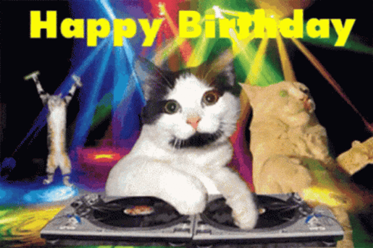 Happy Birthday DJ Cat GIF