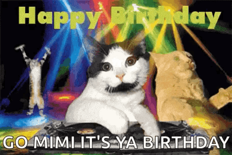 Happy Birthday Dj Party Cat GIF