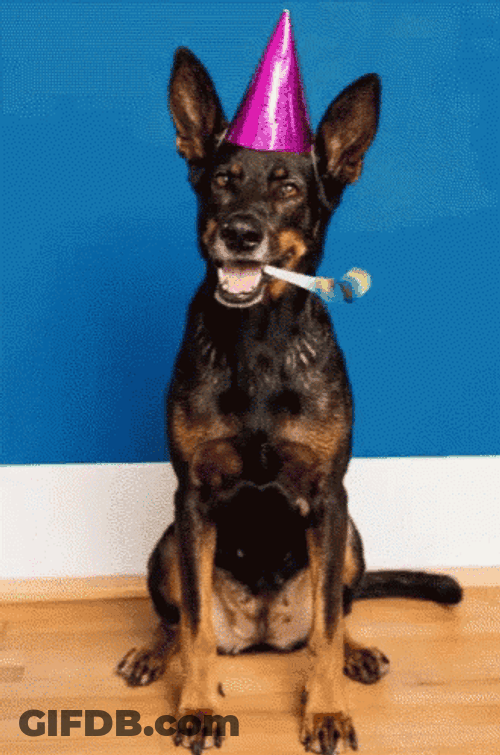 Happy Birthday Dog Blowing Toy GIF