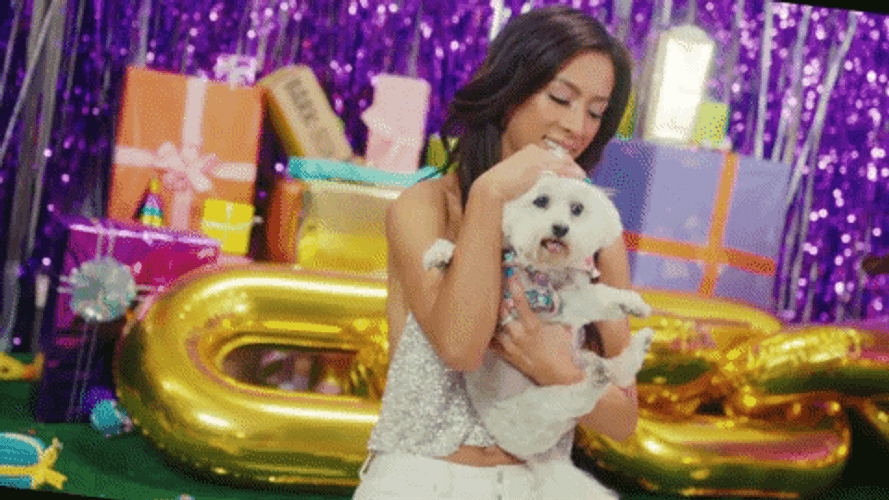 Happy Birthday Dog Celebration GIF