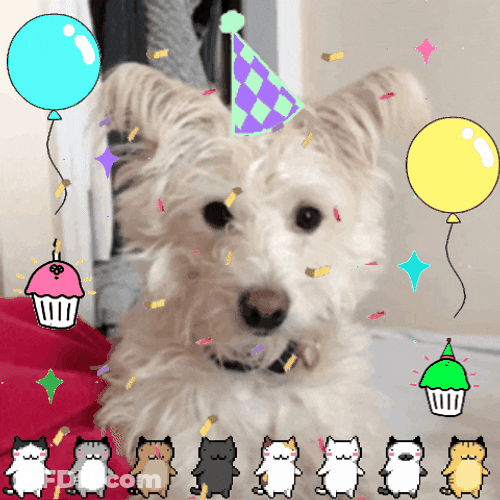 Happy Birthday Dog Dancing Cats Sticker GIF