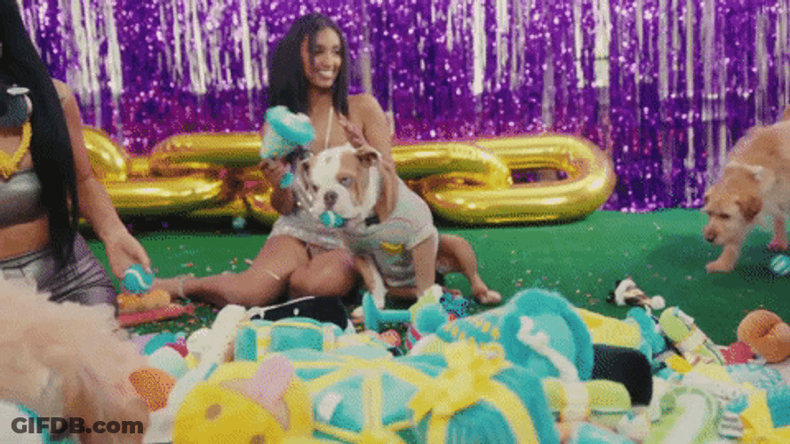 Happy Birthday Dog Girl Celebration GIF