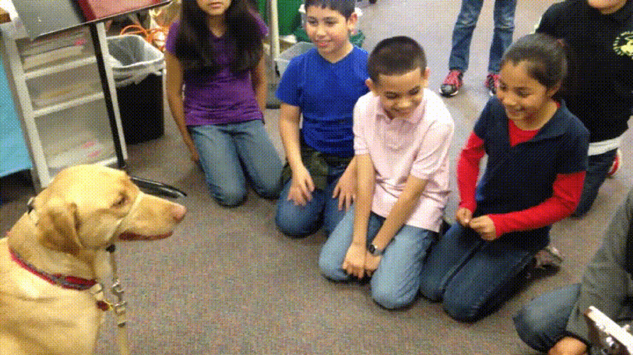 Happy Birthday Dog Greetings From Kids GIF