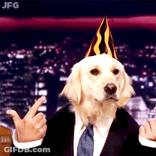 Happy Birthday Dog Human Body Meme GIF