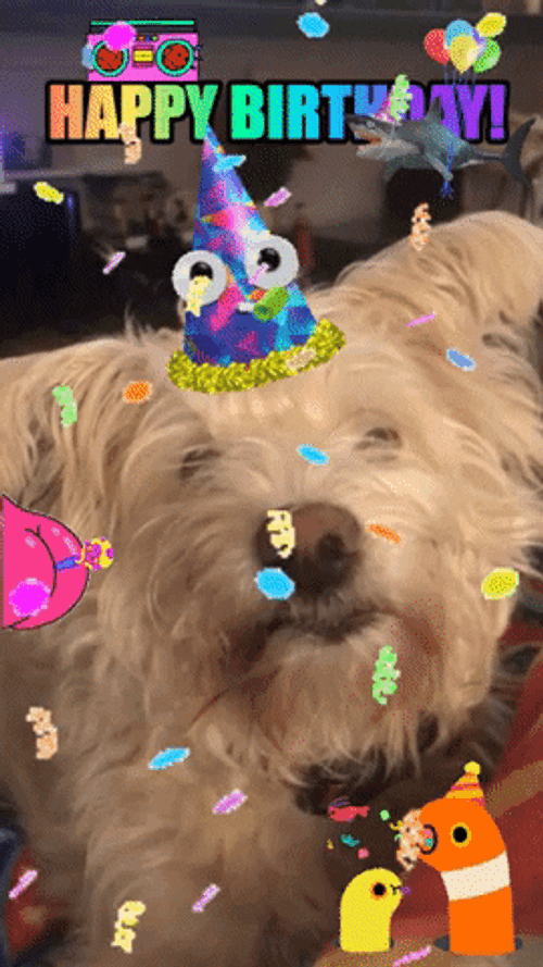 Happy Birthday Dog Licking GIF