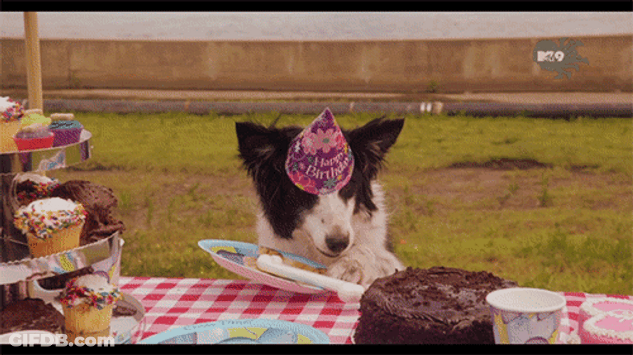 Happy Birthday Dog Moving Paper Plate GIF