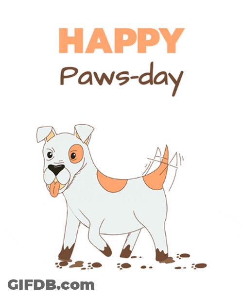 Happy Birthday Dog Paws Day GIF