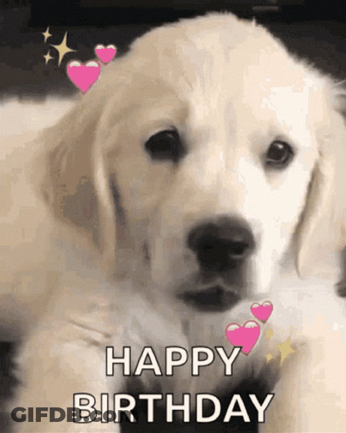 Happy Birthday Dog Sticking Out Tongue GIF