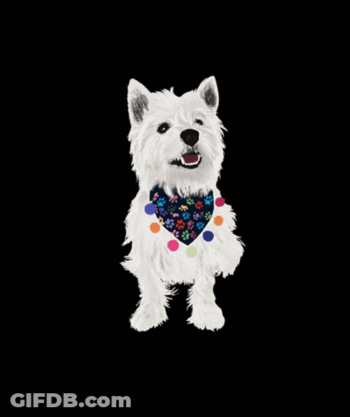 Happy Birthday Dog With Bib GIF