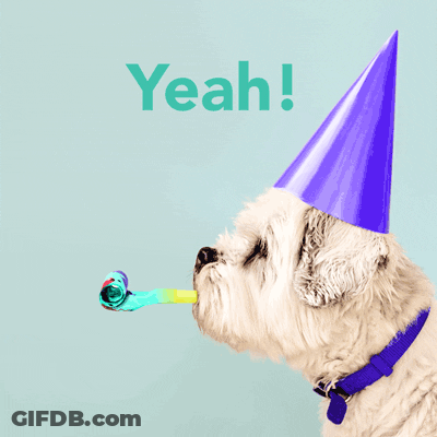Happy Birthday Dog Yeah GIF