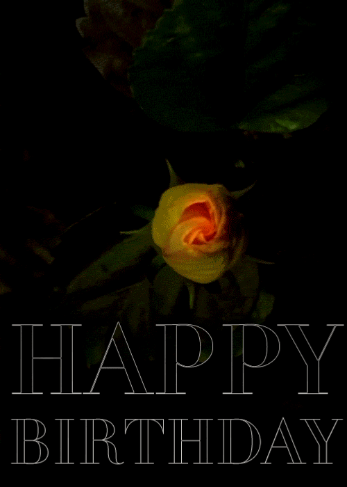 Happy Birthday Flowers Gumamela GIF