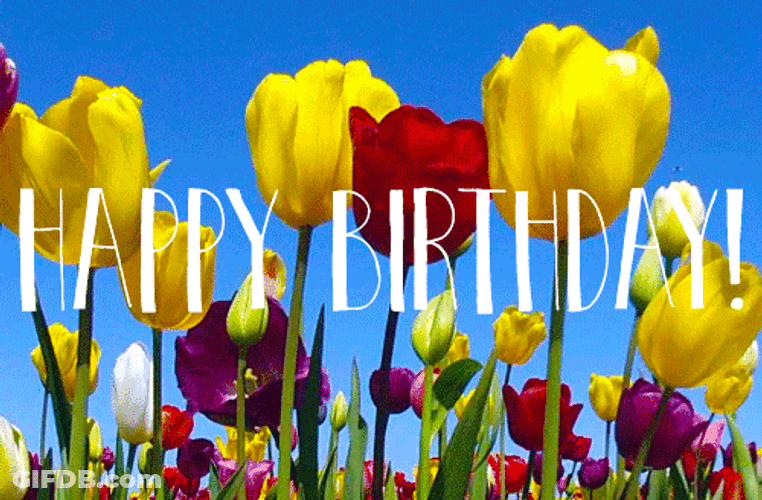 Happy Birthday Flowers Tulips GIF