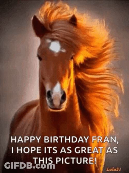 Happy Birthday Fran Brown Horse Majestic GIF