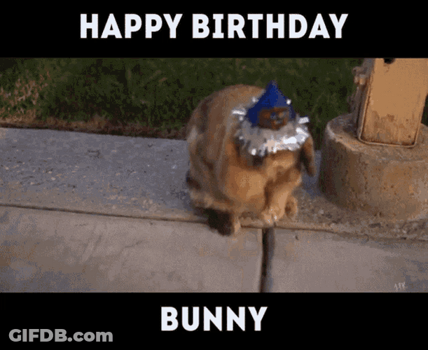 Happy Birthday Funny Bunny Hate Party Hat GIF