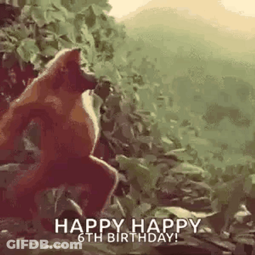 Happy Birthday Gorilla Dancing GIF