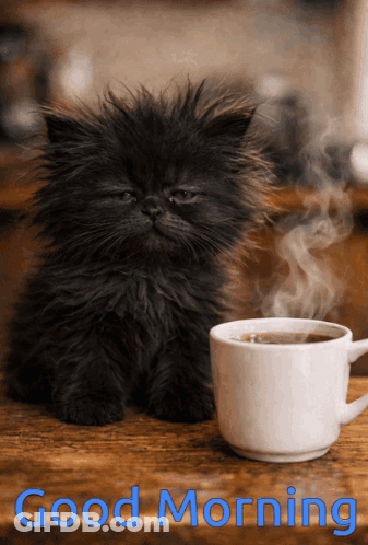Happy Birthday Grandson Fireworks Stars Card GIF
