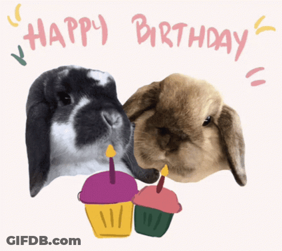 Happy Birthday Greeting Animal Bunnies Cupcake GIF