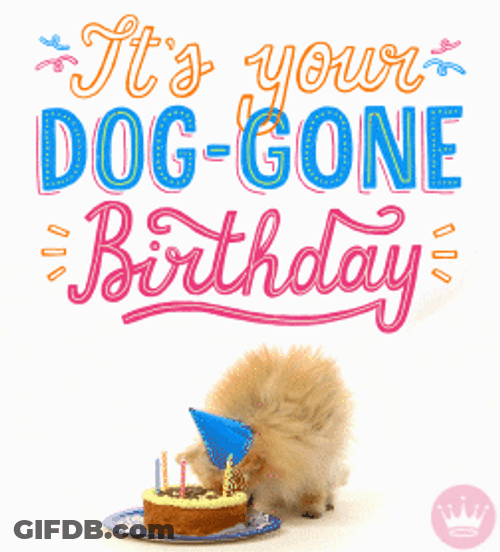 Happy Birthday Greeting Animal Dog Eating Cake GIF