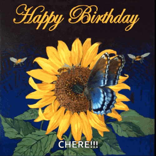 Happy Birthday Happy Bday GIF