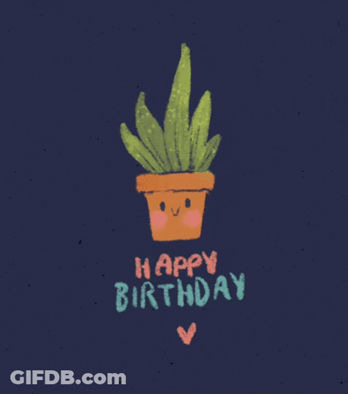 Happy Birthday Happy Plant GIF