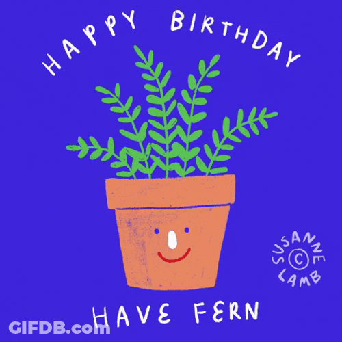Happy Birthday Have Fun  Illustration GIF