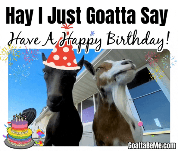 Happy Birthday Horse And Cow GIF