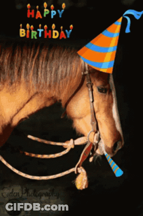 Happy Birthday Horse Brown Party Hat Blowers GIF
