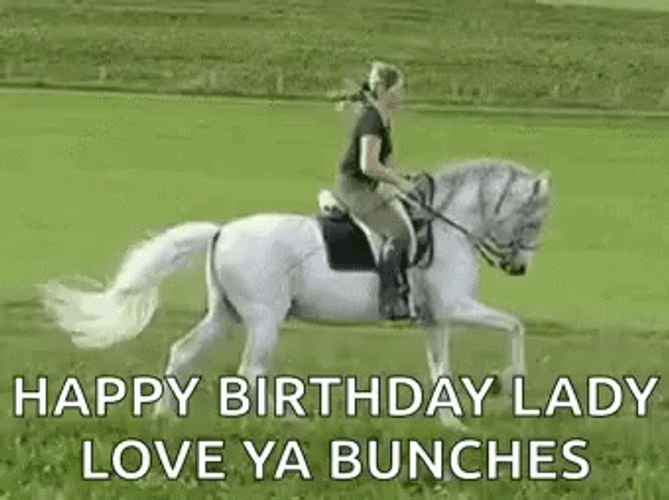 Happy Birthday Horse Lady Love Ya Bunches GIF