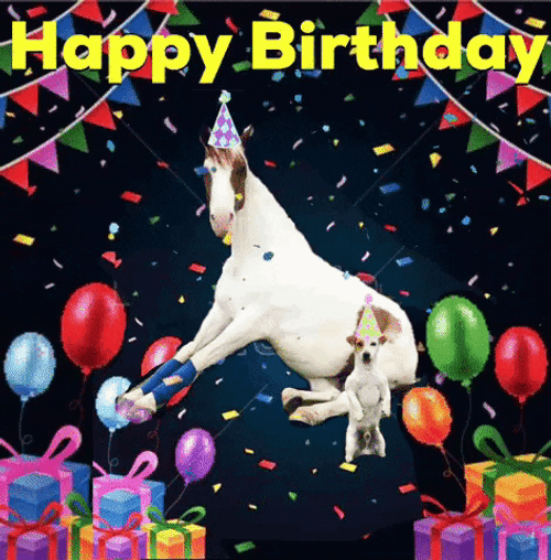 Happy Birthday Horse Party Balloons Gifts Banners GIF