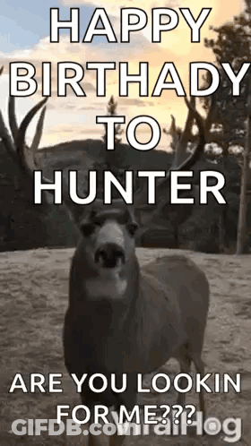 Happy Birthday Hunter Deer Looking For Me GIF