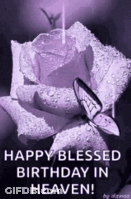 Happy Birthday In Heaven Purple Rose And Butterfly GIF