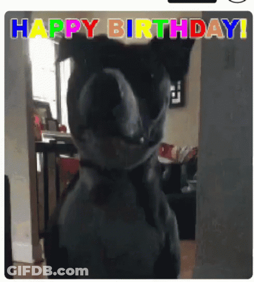 Happy Birthday Jumping Dog GIF