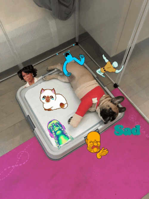 Happy Birthday Lying Dog GIF