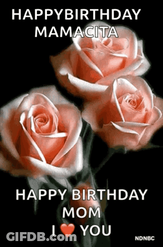 Happy Birthday Mamacita Happy Birthday Mom I Love You Ndnbc GIF