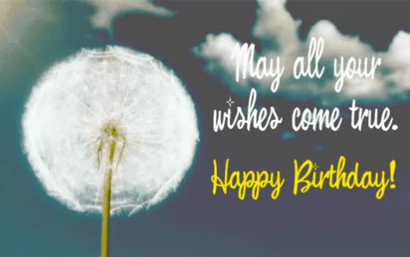 Happy Birthday May Wish Come True GIF