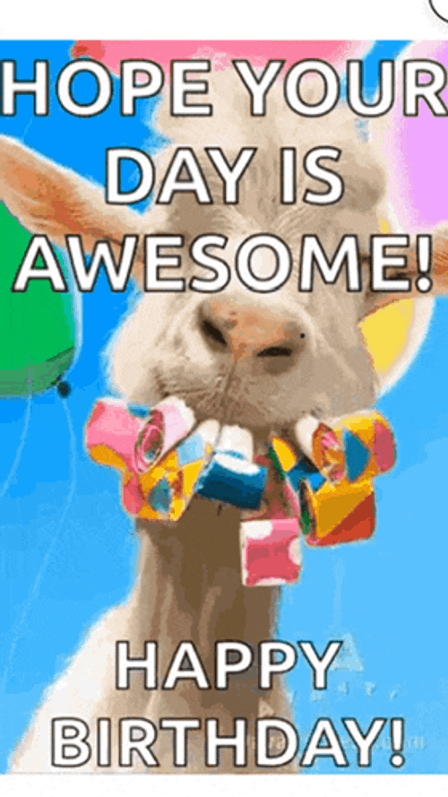 Happy Birthday Meme GIF