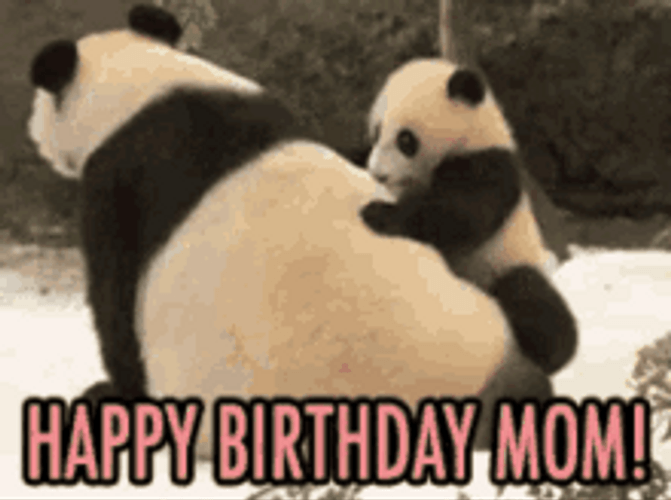 Happy Birthday Mom Baby Panda Climbing GIF