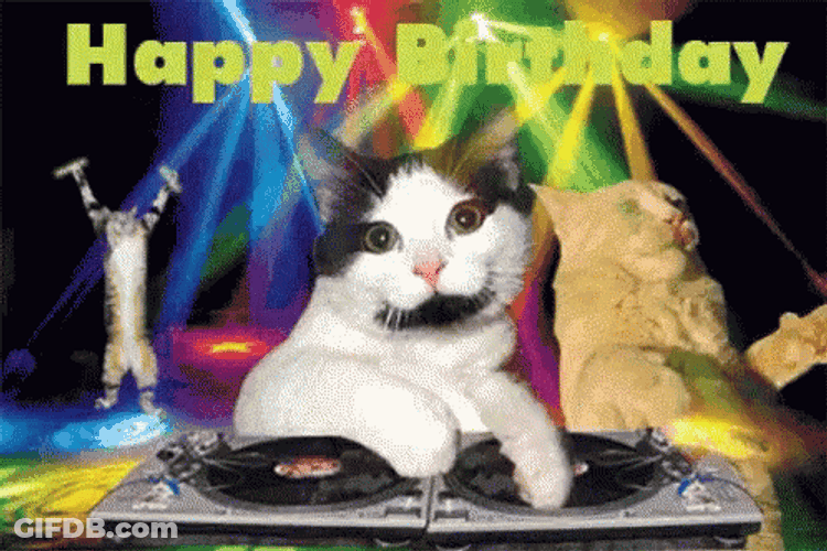 Happy Birthday Party Animal Cats Dj Disco GIF