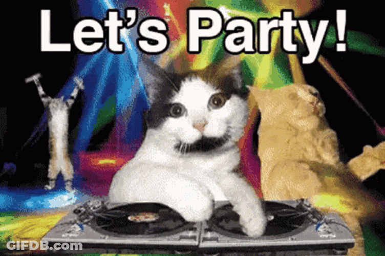 Happy Birthday Party Cat GIF