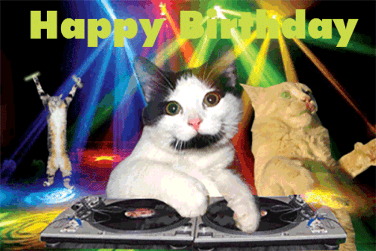 Happy Birthday Party DJ Cat GIF
