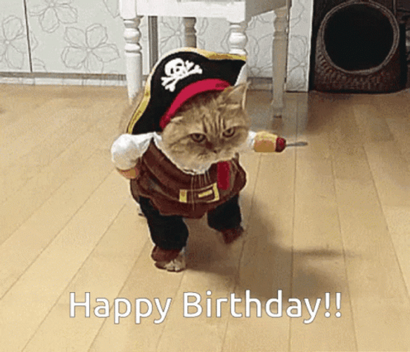 Happy Birthday Pirate Cat GIF