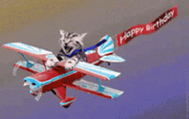 Happy Birthday Plane Cat GIF