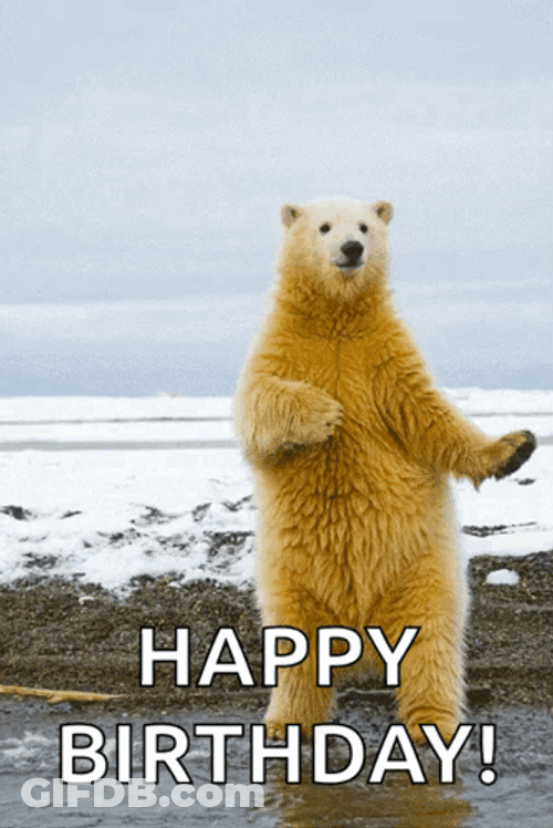 Happy Birthday Polar Bear Fishing GIF