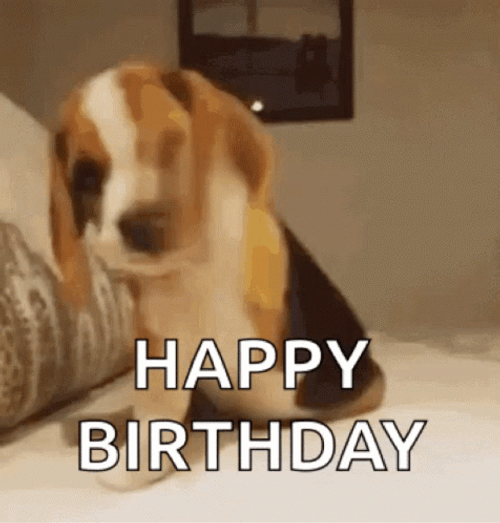 Happy Birthday Puppy Beagle Howling GIF