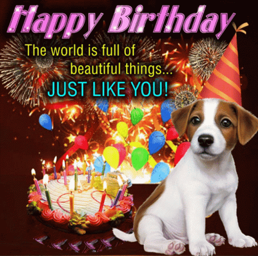 Happy Birthday Puppy Greeting Message With Fireworks Design GIF
