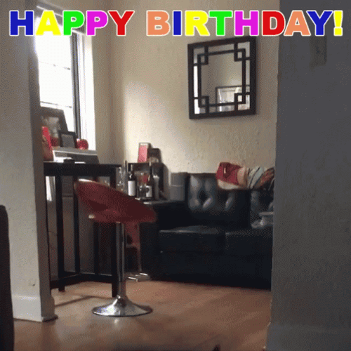 Happy Birthday Puppy Jumping And Excited GIF